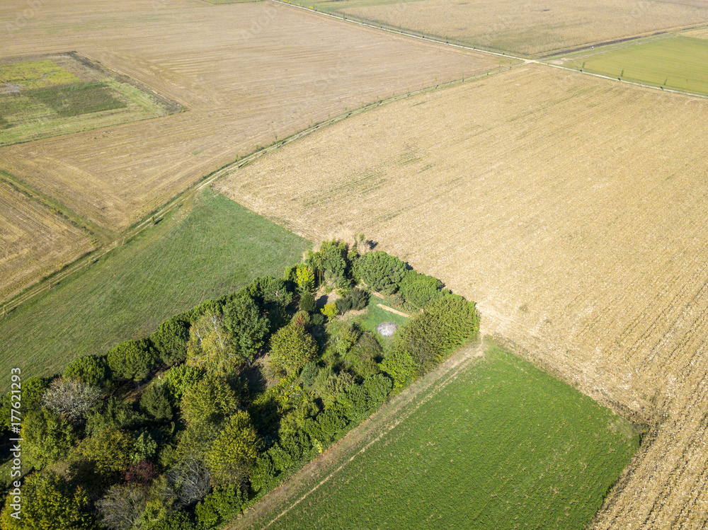 Foto Stock Natura e paesaggio: vista aerea di un campo, coltivazione ...