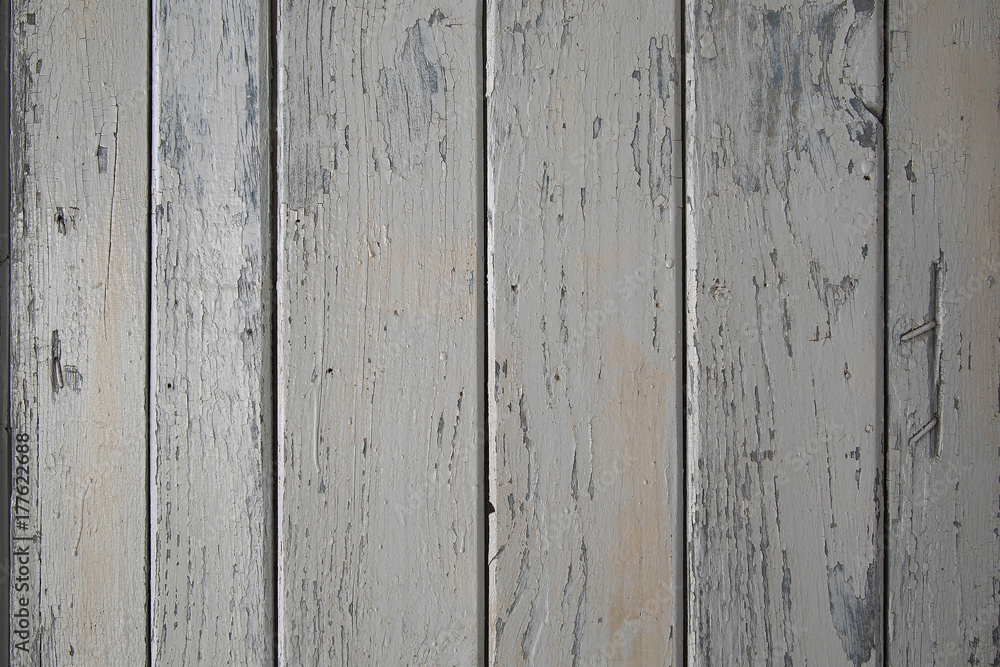 Naklejka premium Vieja puerta gris