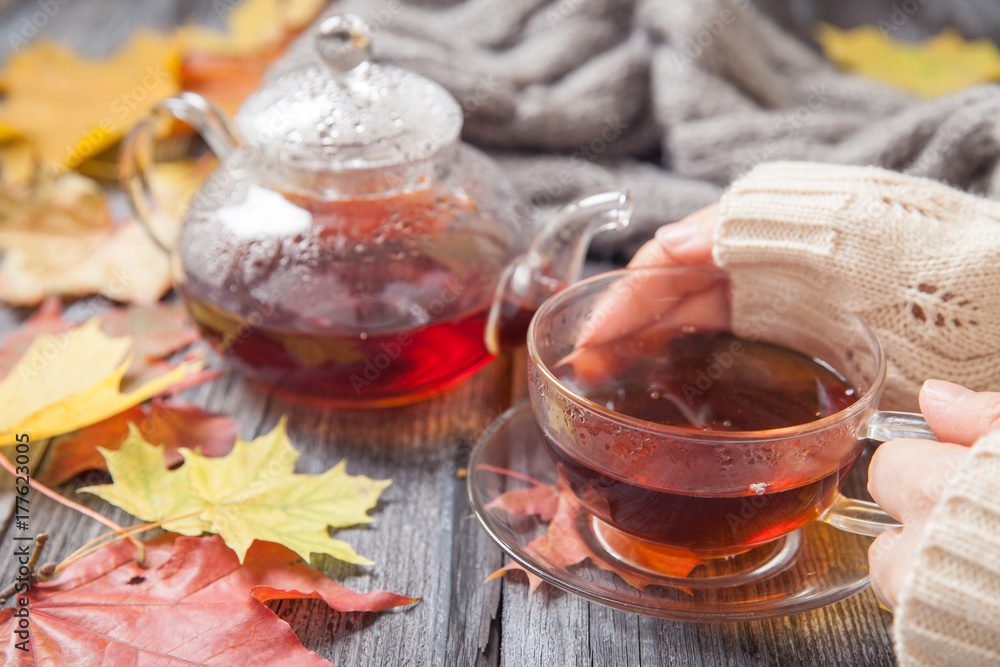 Autumn Still Life: Tea on maple leaves on a wooden table Autumn Still Life: Tea on maple leaves on a wooden table