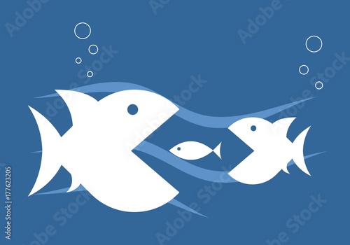 Fish illustration