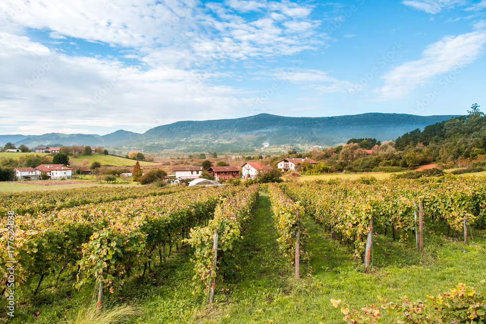 Obraz premium beautiful rural village of basque country, Spain