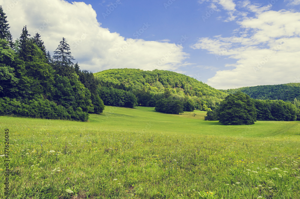 Beautiful summer landscape with meadows, forests and sky