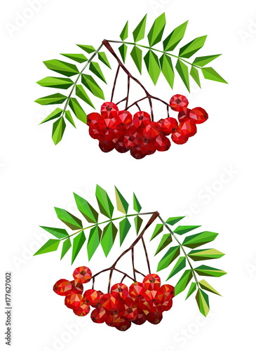 polygon picture autumn berries