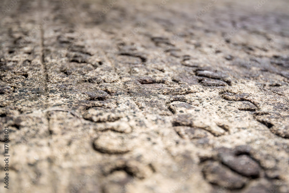 Ancient Sinhalese Scripts Ancient Sinhalese Scripts