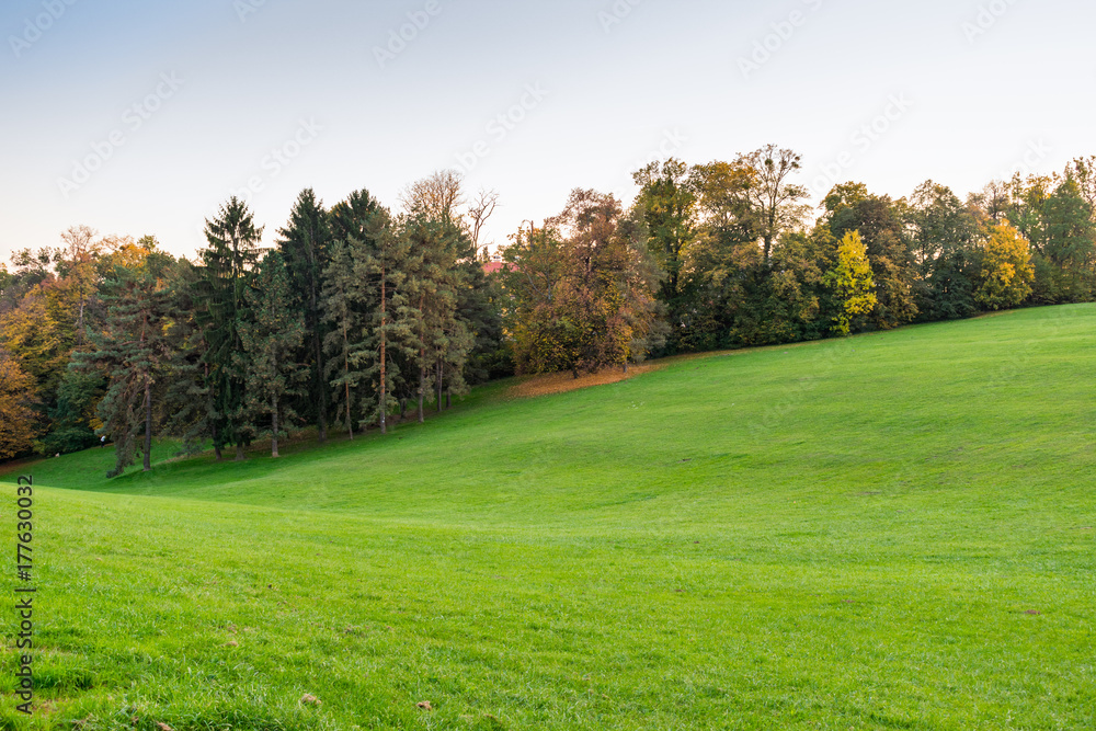 Hilly landscape with green lawn bordered with trees with foliage in autumn 