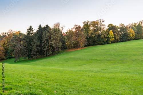 Hilly landscape with green lawn bordered with trees with foliage in autumn  © IKA