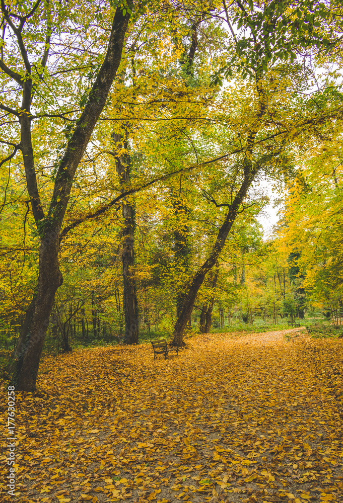 Beautiful autumn scenes in the famous Maksimir park in Zagreb, Croatia