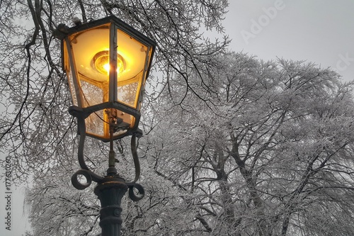 Straßenlaterne mit verschneiten Bäumen im Winter