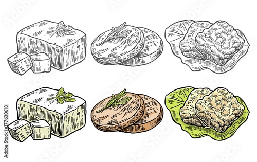 Set Vegan and Vegetarian food. Tofu, Seitan, Tempeh . Vector color vintage engraved illustration isolated on white background