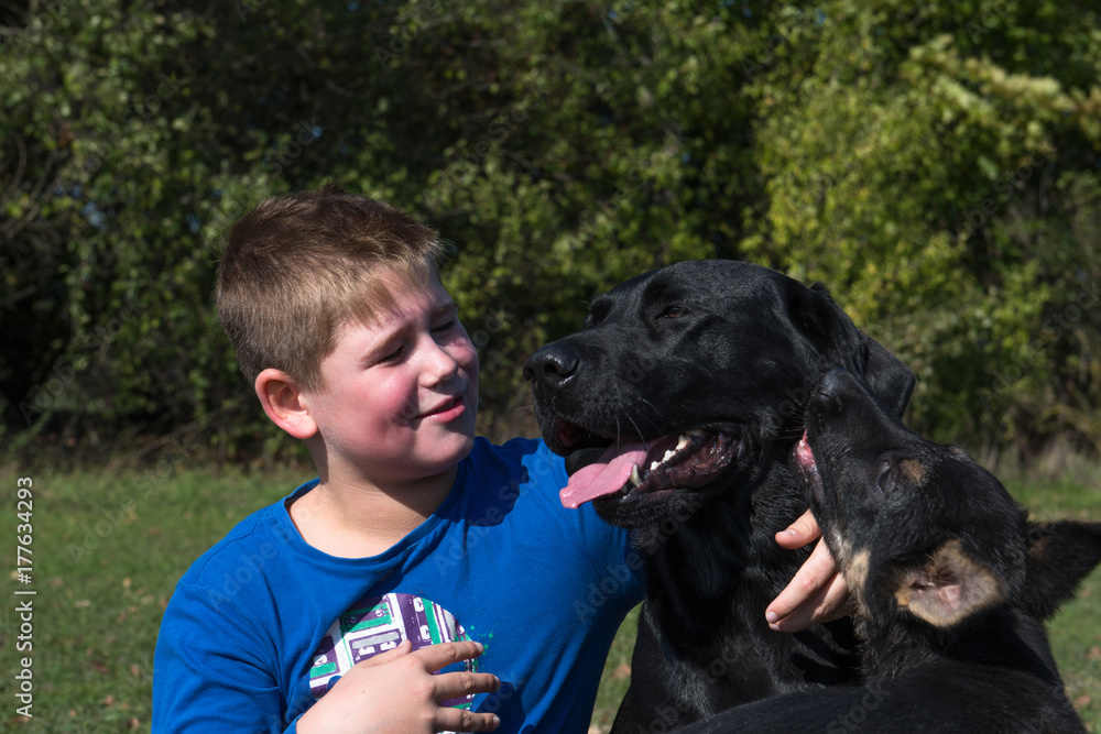 Little boy playing with dogs in the park. Little boy playing with dogs in the park.