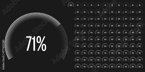 Set of circular sector percentage diagrams from 0 to 100 ready-to-use for web design, user interface (UI) or infographic - indicator with white