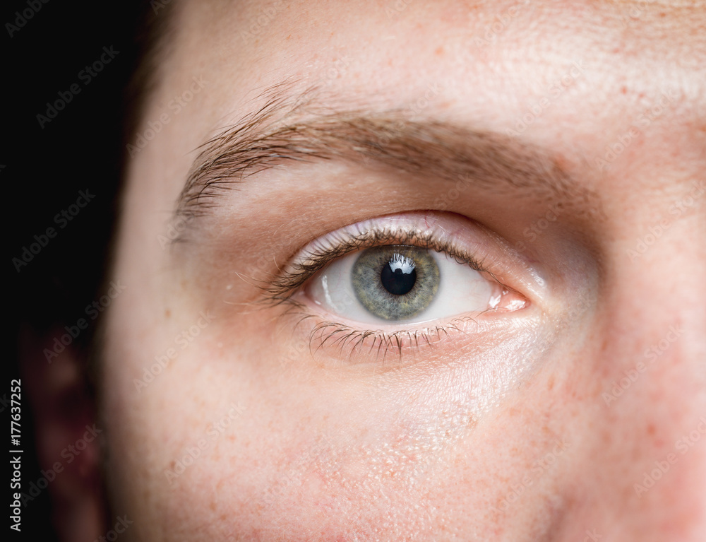 Obraz premium oko makro