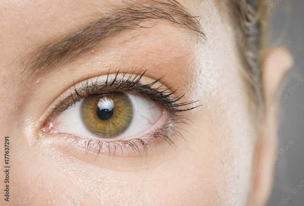 Obraz premium oko makro