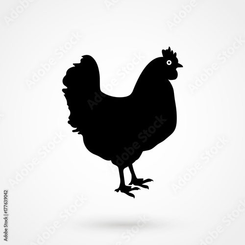 chicken icon, vector chicken silhouette, isolated chicken silhouette