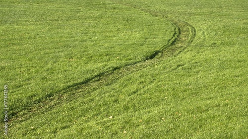 Tracks on a green grass lawn