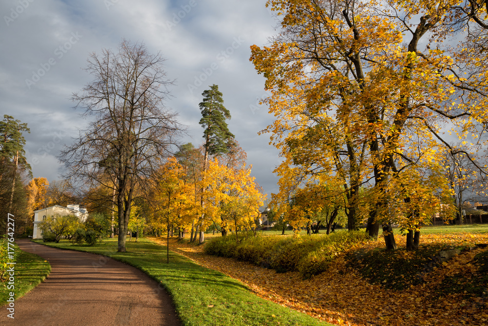 Autumn landscape in Alexandria park, Peterhof