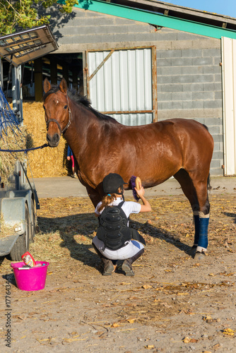 jeune fille brossant son cheval