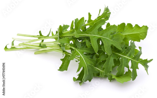 Close up studio shot of green fresh rucola leaves isolated on white background. Rocket salad or arugula.