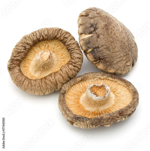 Dried Shiitake Mushroom isolated on white background