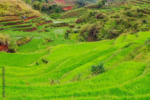 Beautiful green rice terraces on a cloudy day