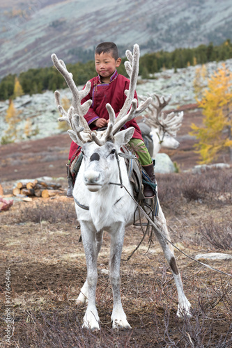 Konstfotografi Little tsaatan boy riding on his family's reindeer.