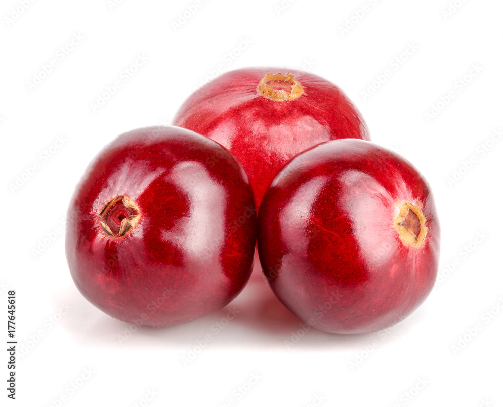 Obraz premium Cranberry isolated on white background closeup macro