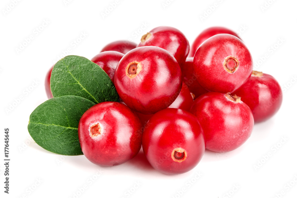 Cranberry with leaf isolated on white background closeup macro Cranberry with leaf isolated on white background closeup macro