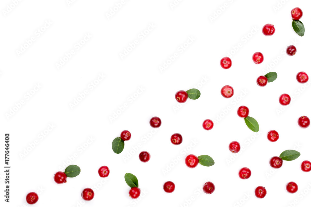 Cranberry isolated on white background closeup with copy space for your text. Top view. Flat lay pattern Cranberry isolated on white background closeup with copy space for your text. Top view. Flat lay pattern