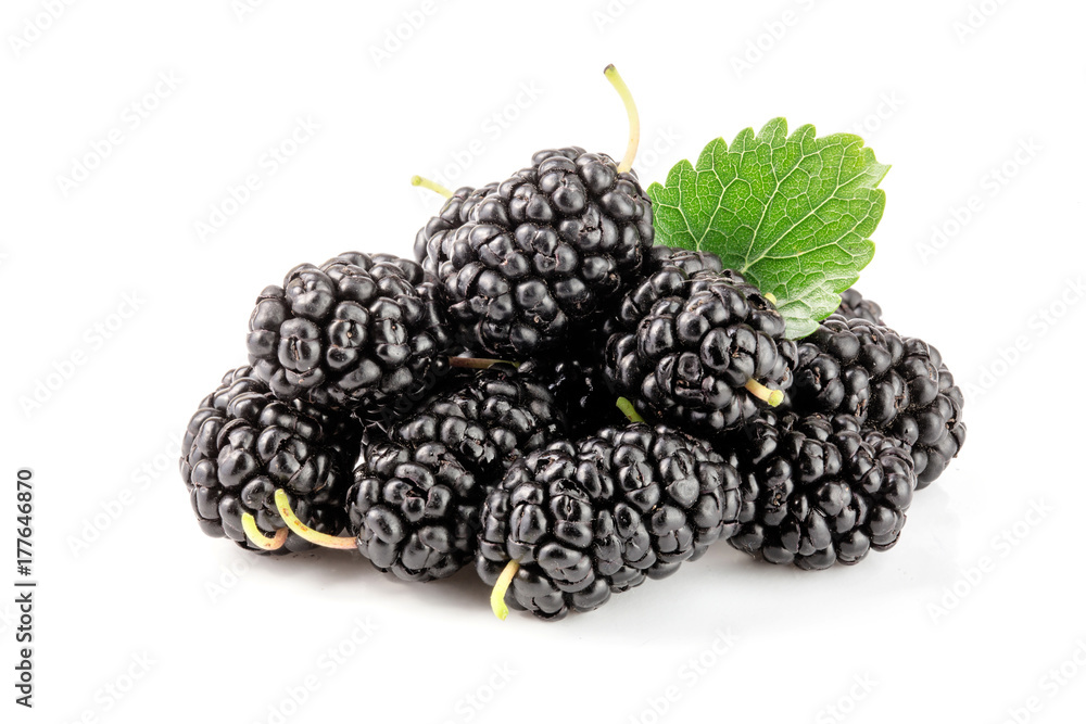 Mulberry berry with leaf isolated on white background Mulberry berry with leaf isolated on white background