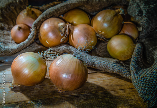 Onion new crop