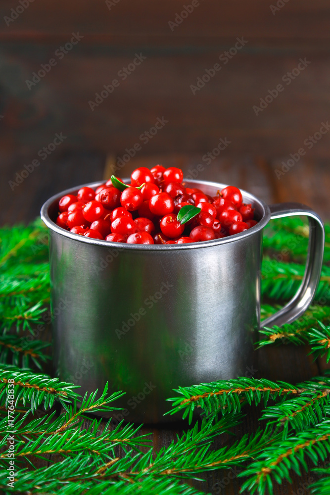Cowberry, foxberry, cranberry, lingonberry in an aluminum mug on a brown wooden table. Surrounded by fir branches. Cowberry, foxberry, cranberry, lingonberry in an aluminum mug on a brown wooden table. Surrounded by fir branches.