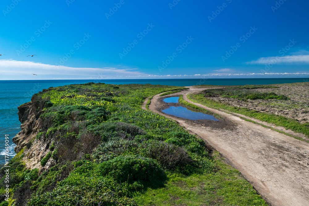 Daily walks along Pacific shore, Sand Hill Bluff, Panther Beach, California, USA Daily walks along Pacific shore, Sand Hill Bluff, Panther Beach, California, USA