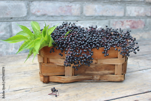 Elderberry in a wicker basket