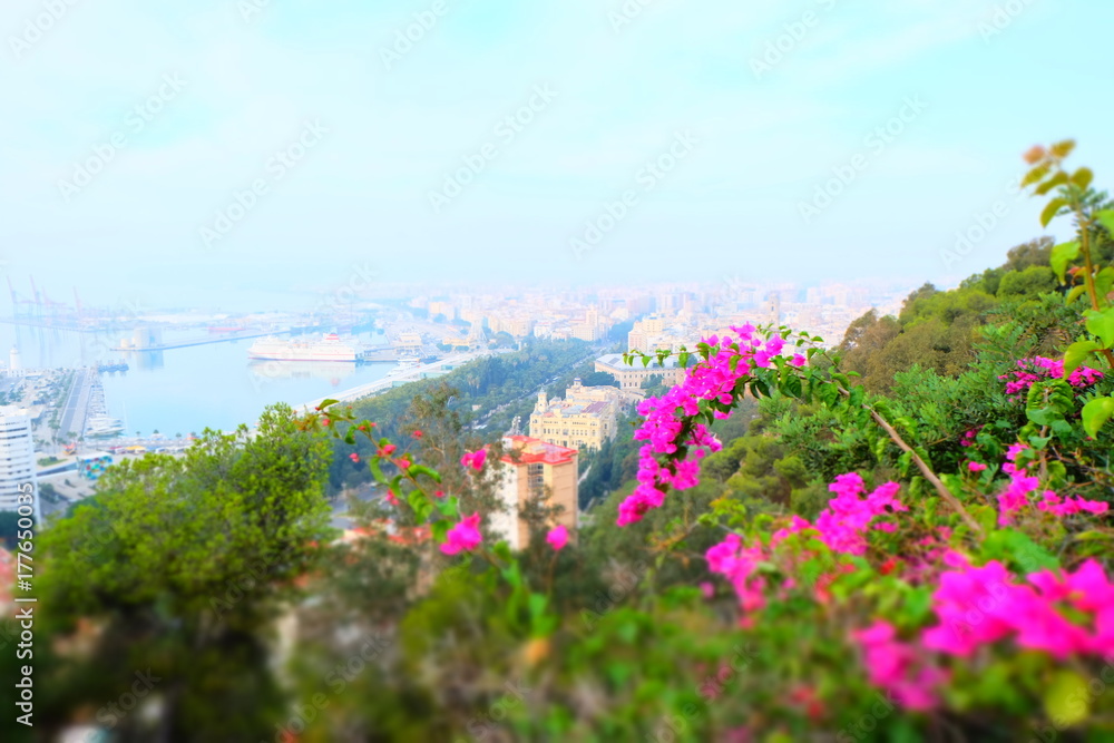 Fototapeta premium スペインの丘からの景色（ミニチュア風）