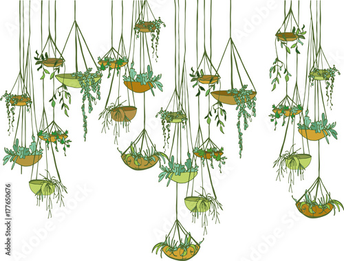 
modern suspended  pots with plants

