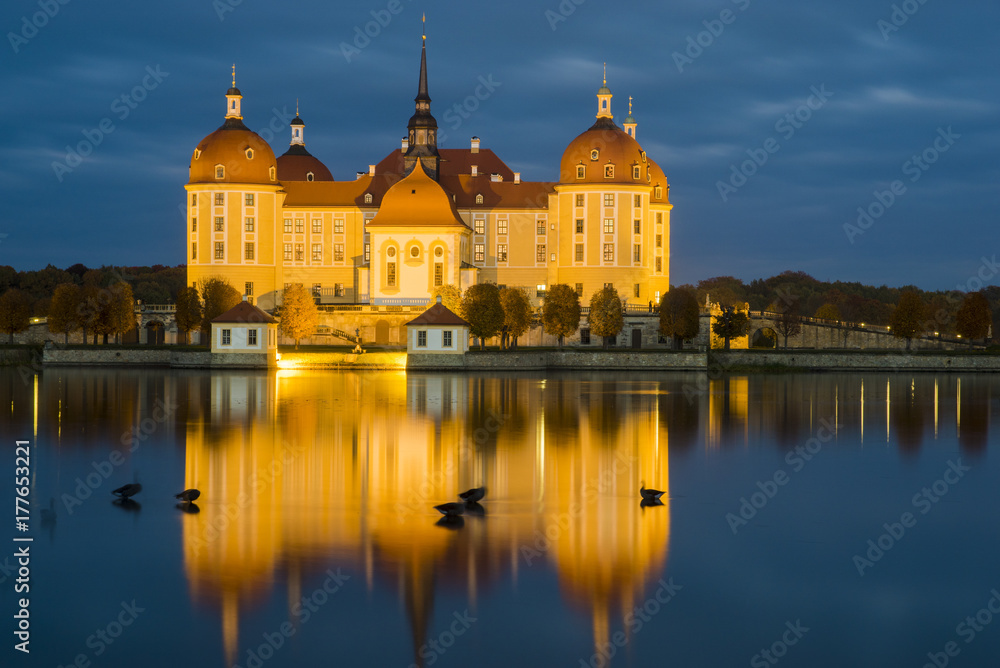 Moritzburg Castle ,night photography,Goose sleeping on the lake