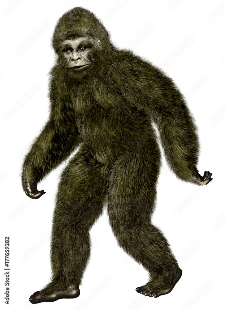 Bigfoot, Yeti. Bigfoot, Yeti.