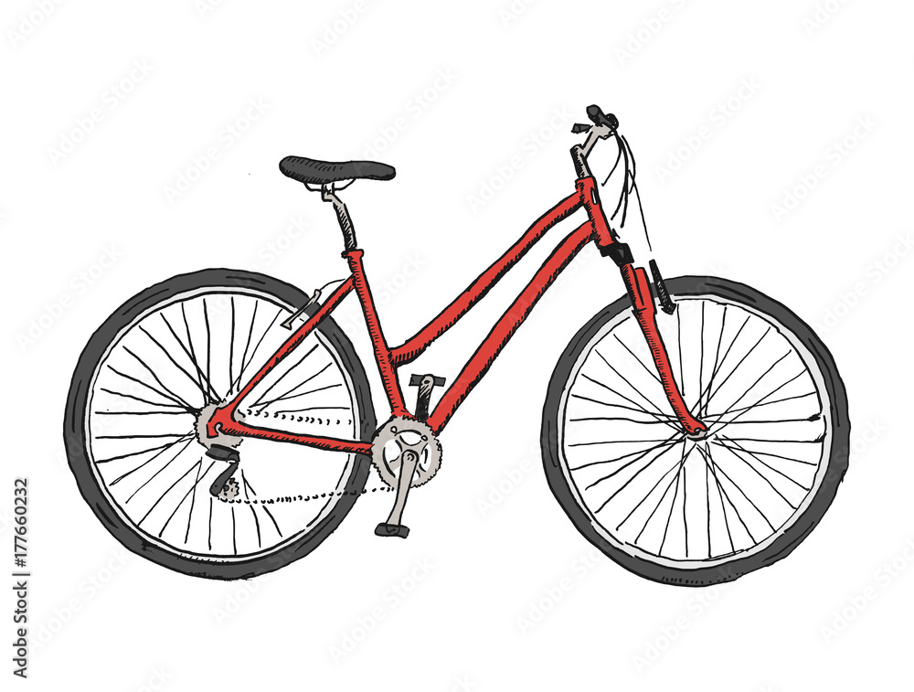 Hand drawn sketch illustration of bicycle. Vector bike illustration