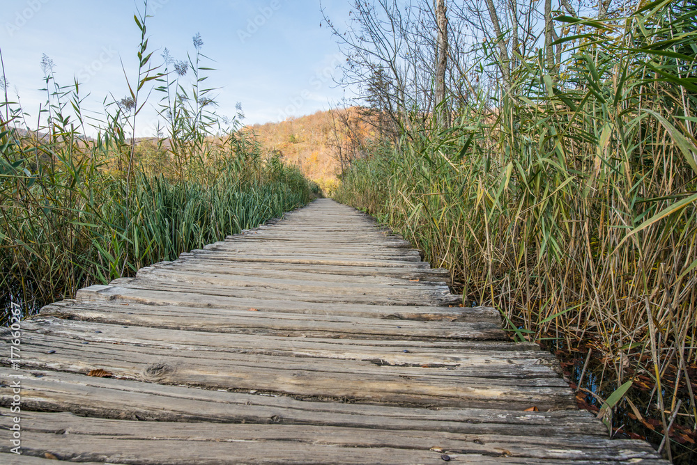 Fototapeta premium Scenic Plitvice lakes national park in Croatia during autumn time