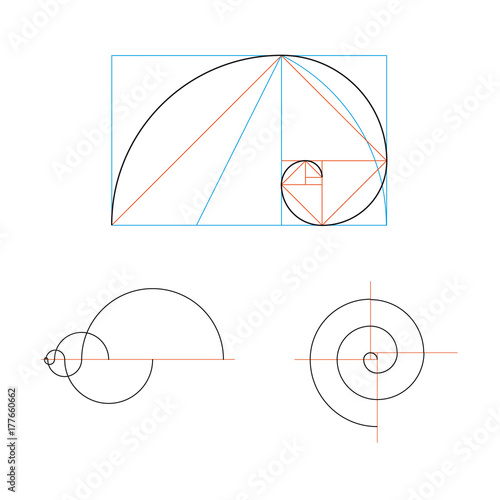 Minimalistic style design. Golden ratio. Geometric shapes. Circles in golden proportion.
