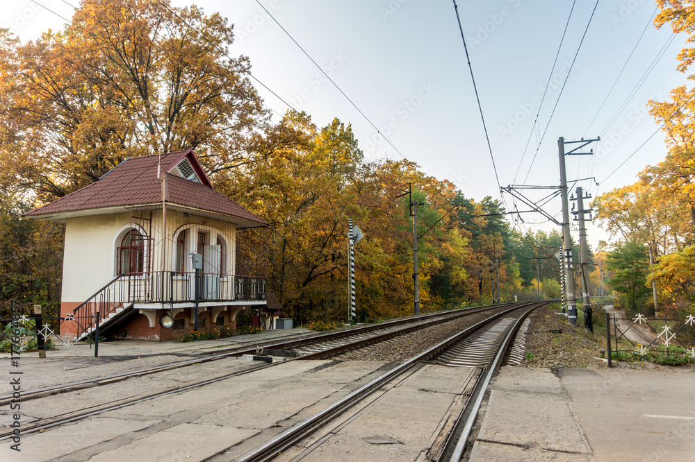 Naklejka premium Railroad tracks on the background of autumn forest