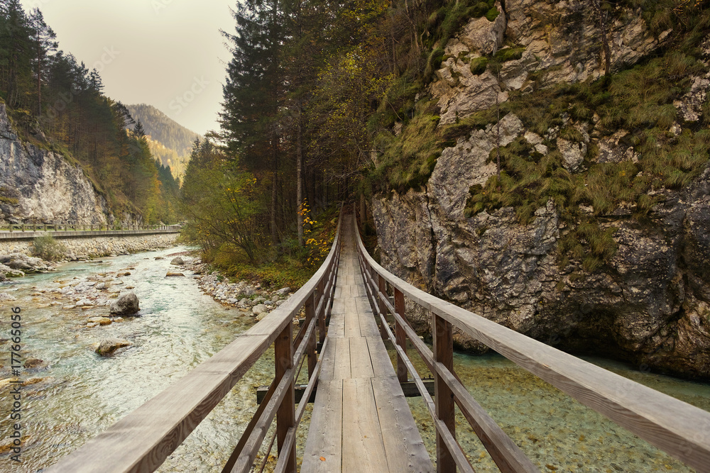 Fototapeta premium Bridge over a mountain stream. Autumn view of Slovenia, toning.