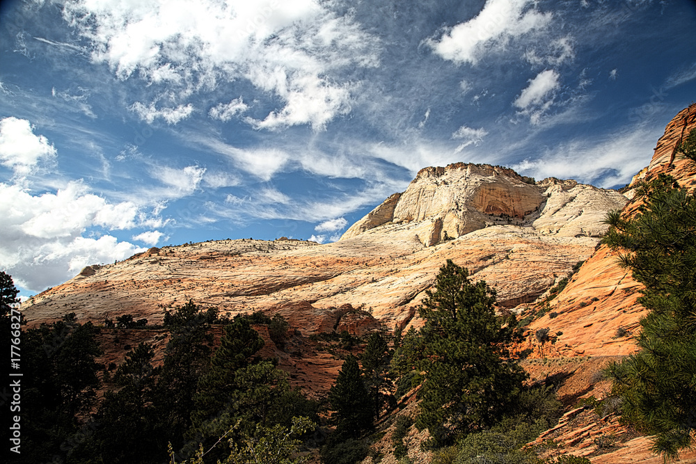 Obraz premium Zion Canyon