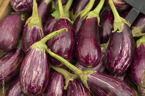 Fresh eggplants on the market - Solanum melongena