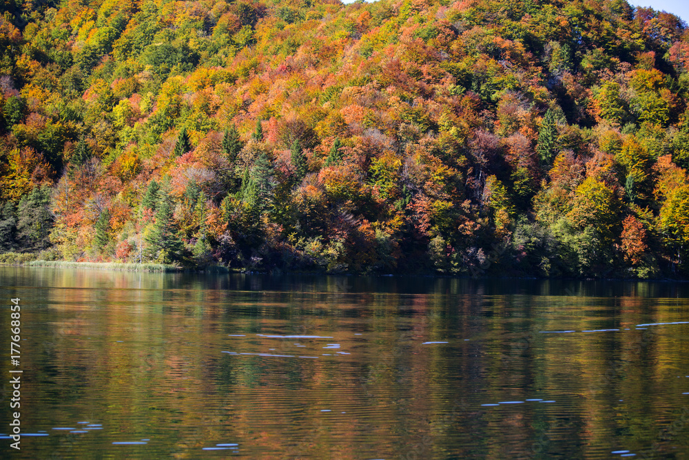 Fototapeta premium Plitvice lakes autumn landscape