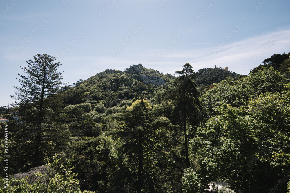 Beautiful landscape view on hill and mountains in Sintra covered with trees, summer Portugal
