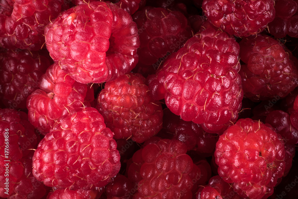Raspberry Raspberry