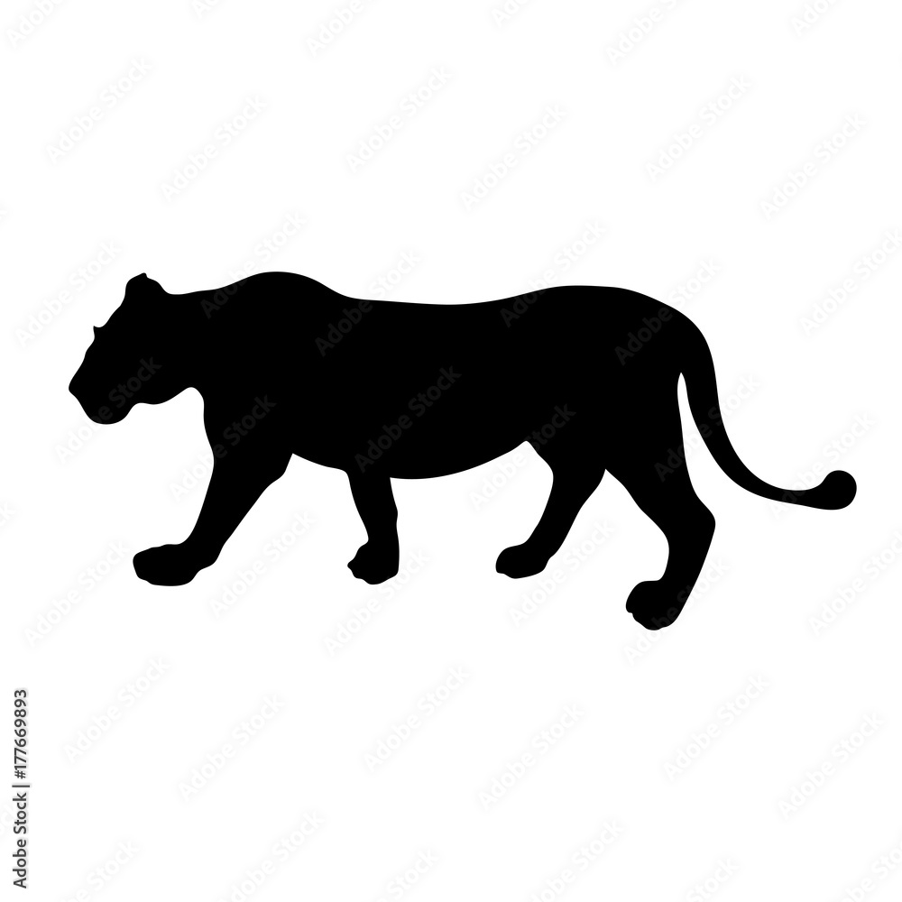 Fototapeta premium Black silhouette of running lioness on white background of vector illustration