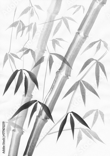 Bamboo watercolor painting with two stalks and light leaves. Black gouache on white paper study.