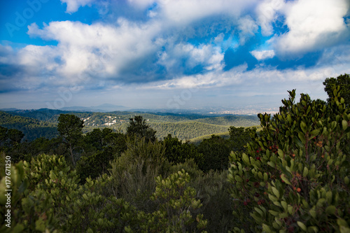 BLUE SKIES